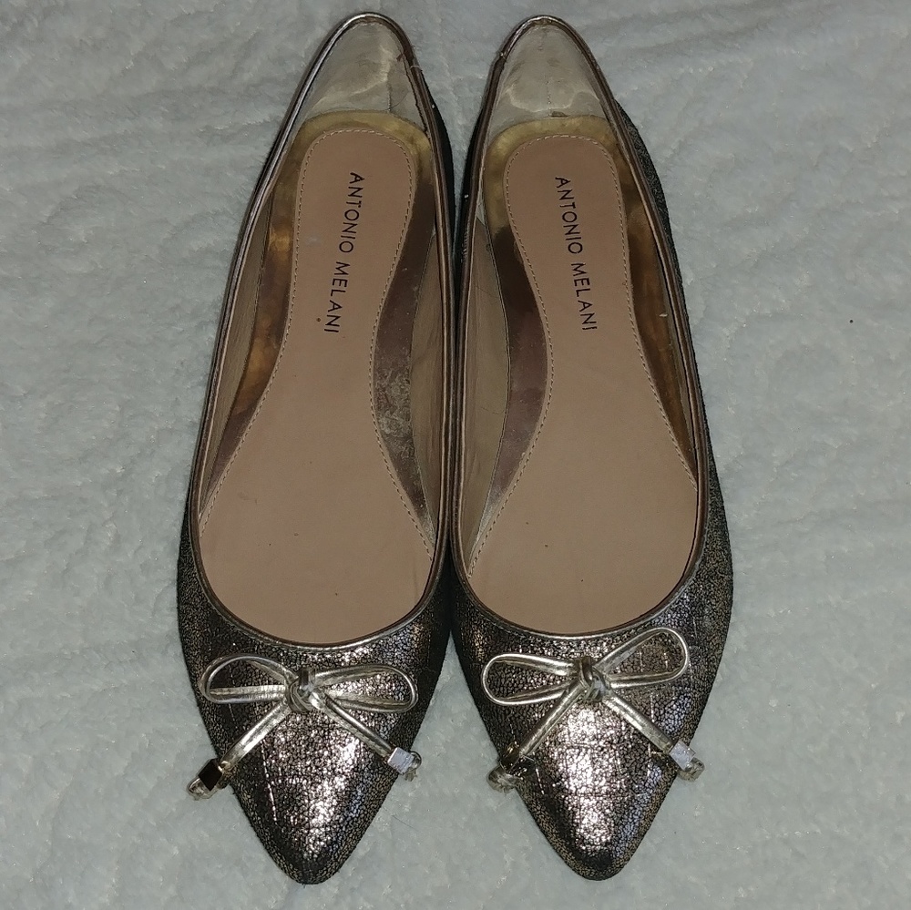 Antonio Melani Pointed-Toe Ballerina Flats